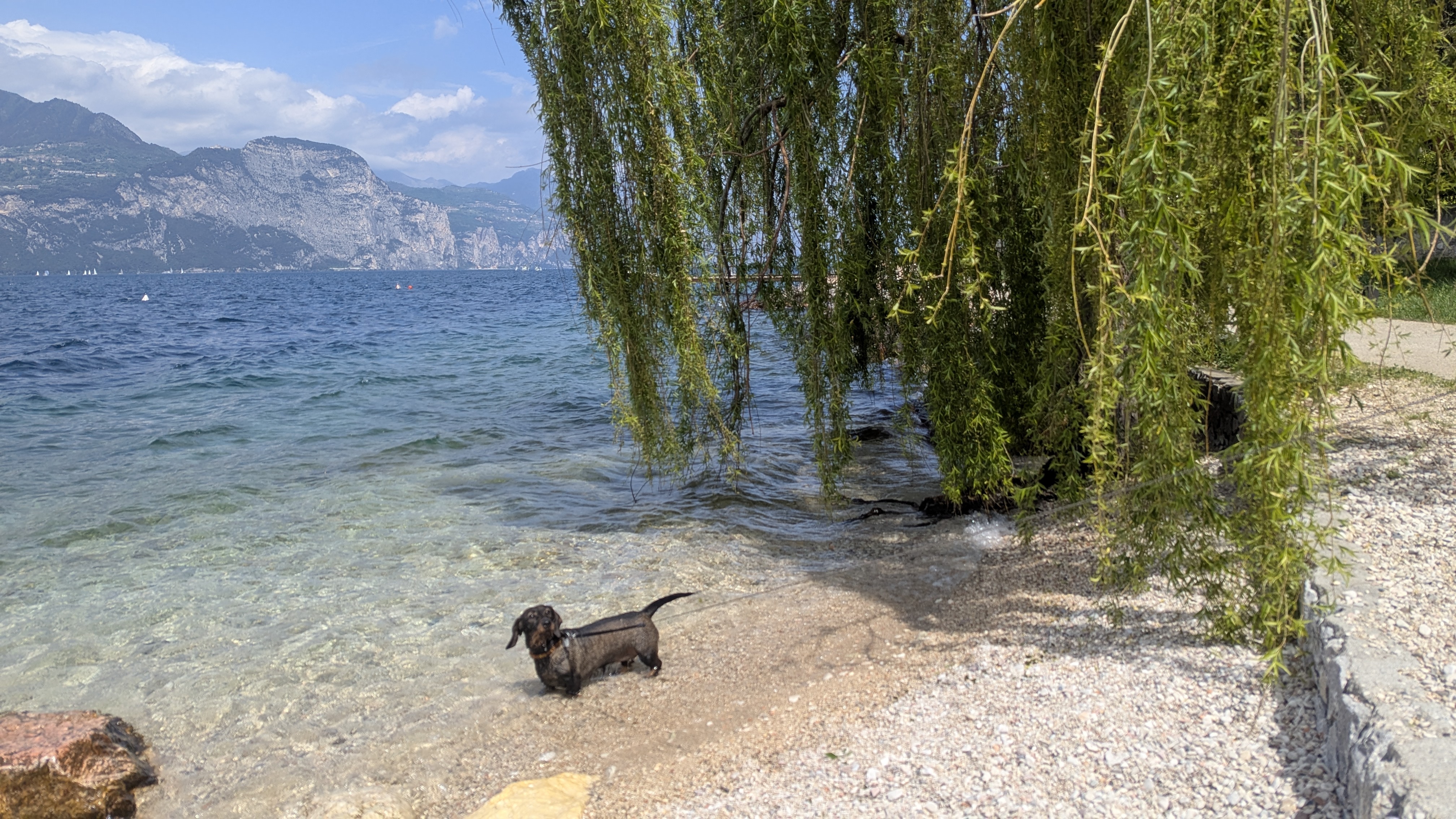 PXL_20250504_104724241.MP